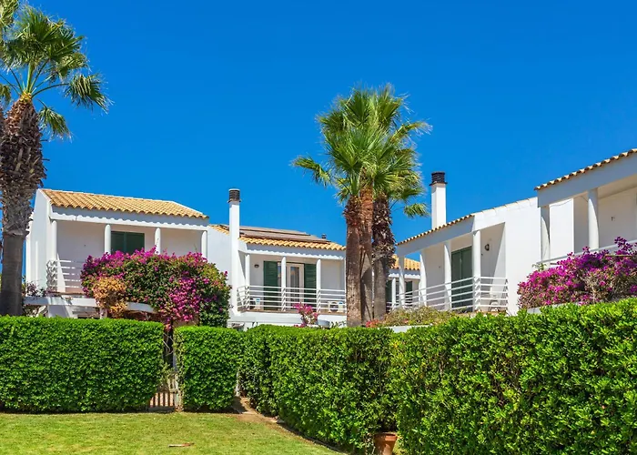 Aloes סה קאלטה